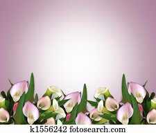 Calla Lilies pink Border Calla Lilies pink Border