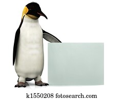 Penguin with sign Penguin with sign