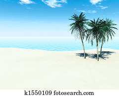 Tropical beach Tropical beach