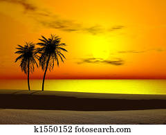 Tropical sunrise Tropical sunrise
