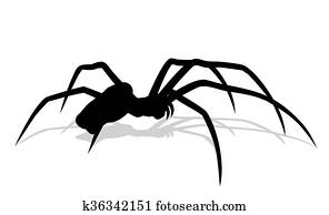 צללית, של, שחור, spider.