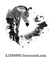 Grungy Zebra Grungy Zebra