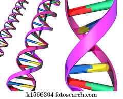 Illustration of DNA double helix Illustration of DNA double helix