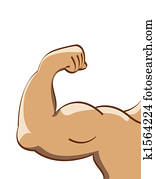 muscle man muscle man