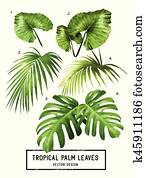 Tropical Vector Palm Leaves Tropical Vector Palm Leaves