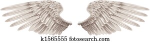 White Wings White Wings