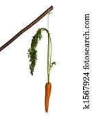 גזר, להדבק, כפי, מוטיבציה, ל, לאכול, פרי