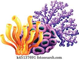 Coral reef in yellow and purple color Coral reef in yellow and purple color