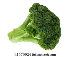 fresh broccoli fresh broccoli
