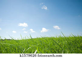 grass and blue sky
