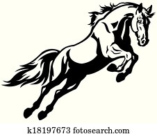 jumping horse jumping horse