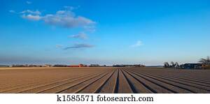 agriculture agriculture