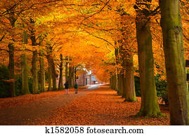 autumn colors autumn colors