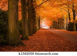 autumn colors autumn colors