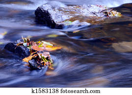 autumn river 