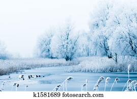 beautiful winter landscape