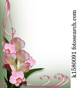 Calla Lilies and orchids border