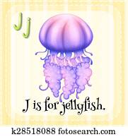 Jellyfish Jellyfish