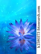 Lotus and light Lotus and light
