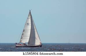 sailing on a summerday