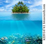 Underwater coral reef seabed and water surface with tropical isl Underwater coral reef seabed and water surface with tropical isl