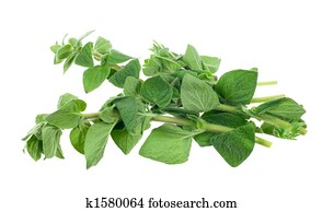 טרי, וראגאנו, עשב