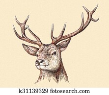 engrave deer illustration engrave deer illustration