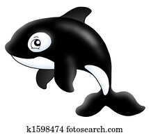 Killer whale Killer whale
