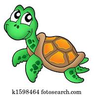 Little sea turtle Little sea turtle