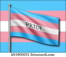 orgullo, palabra, texto, en, el, transgender, bandera, en, trans, colores, azul, rosa, y, púrpura