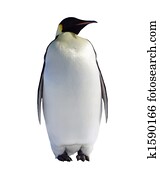 Penguin Penguin
