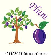 Plum tree vector illustration. Plum fruit. Plum tree vector illustration. Plum fruit.