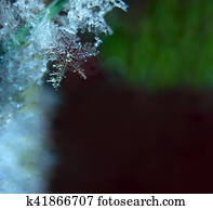 Snowflake background Snowflake background