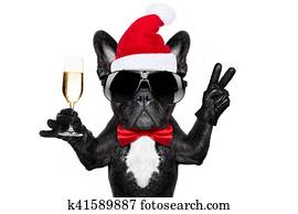 weihnachtsmann, weihnachten, hund weihnachtsmann, weihnachten, hund