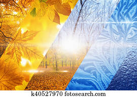 נפול, פונה, ל, חורף