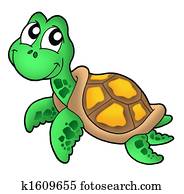 Little sea turtle Little sea turtle