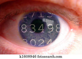 numbers numbers