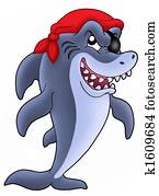 Pirate shark Pirate shark