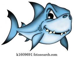 Shark on white background Shark on white background