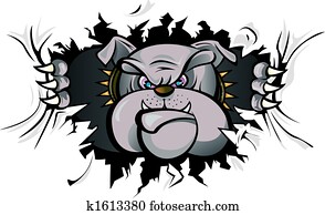 bulldogge, angriff bulldogge, angriff