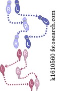 Dance Steps Footprints Ballroom Instructions Dance Steps Footprints Ballroom Instructions