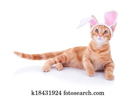 Easter Bunny Easter Bunny