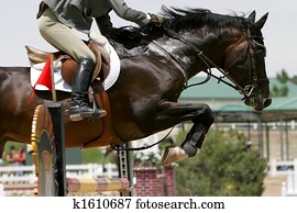 Equestrian Jumping