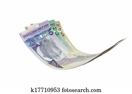 Flying Canadian money notes