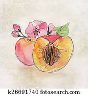 fruta, ilustração, com, aquarela
