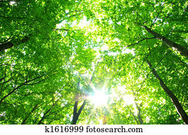 nature nature