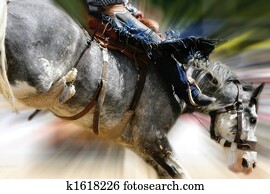 Rodeo Saddle Bronc Zoom Rodeo Saddle Bronc Zoom
