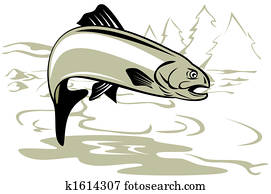 Trout jumping Trout jumping