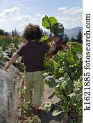 child and beet child and beet