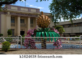 Davao Town Hall